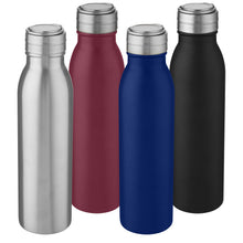 Load image into Gallery viewer, Harper 700 ml stainless steel water bottle with metal loop — group
