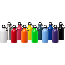 Load image into Gallery viewer, Oregon 400 ml RCS certified single wall stainless steel water bottle with carabiner — group