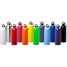 Load image into Gallery viewer, Oregon 750 ml RCS certified single wall stainless steel water bottle with carabiner — group