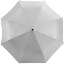 Load image into Gallery viewer, Alex 21.5" foldable auto open/close umbrella — Silver / Black (front)