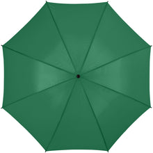 Load image into Gallery viewer, Barry 23" auto open umbrella — Green (front)