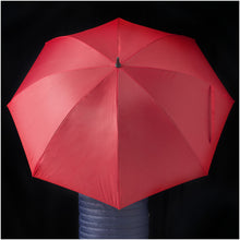Load image into Gallery viewer, Zeke 30" golf umbrella — lifestyle