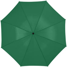 Load image into Gallery viewer, Zeke 30" golf umbrella — Green (front)