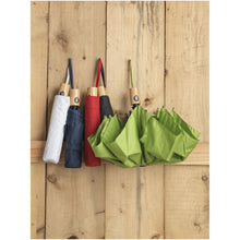 Load image into Gallery viewer, Bo 21" foldable auto open/close recycled PET umbrella — lifestyle