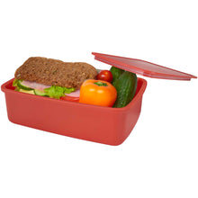 Load image into Gallery viewer, Dovi 800 ml lunch box — Brick (detail)
