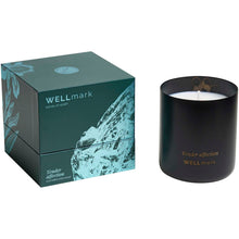 Load image into Gallery viewer, Wellmark scented candle — Black (detail 2)
