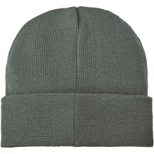 Load image into Gallery viewer, Boreas beanie with patch — Green (back)