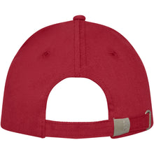 Load image into Gallery viewer, Doyle 5 panel 260 g/m2 cap — Red (back)