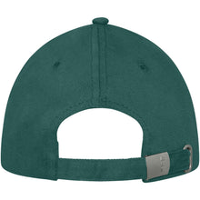 Load image into Gallery viewer, Darton 6 panel 260 g/m2 sandwich cap — Forest green (back)