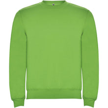 Load image into Gallery viewer, Clasica 280 g/m² kids crewneck sweater — Oasis Green
