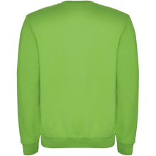 Load image into Gallery viewer, Clasica 280 g/m² kids crewneck sweater — Oasis Green (back)
