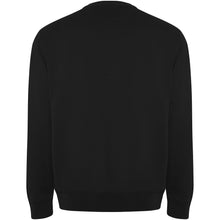 Load image into Gallery viewer, Batian 300 g/m² organic cotton unisex crewneck sweater — Black