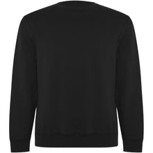 Load image into Gallery viewer, Batian 300 g/m² organic cotton unisex crewneck sweater — Black (back)