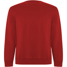 Load image into Gallery viewer, Batian 300 g/m² organic cotton unisex crewneck sweater — Red