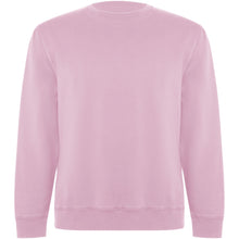 Load image into Gallery viewer, Batian 300 g/m² organic cotton unisex crewneck sweater — Light pink