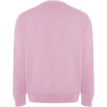Load image into Gallery viewer, Batian 300 g/m² organic cotton unisex crewneck sweater — Light pink (back)