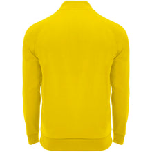 Load image into Gallery viewer, Epiro 200 g/m² long sleeve unisex quarter zip sweatshirt — Yellow (back)