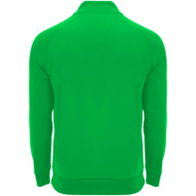 Load image into Gallery viewer, Epiro 200 g/m² long sleeve unisex quarter zip sweatshirt — Fern green (back)