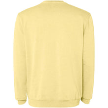 Load image into Gallery viewer, Jaya 250 g/m² unisex crewneck sweater — Yellow (back)