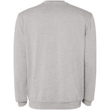 Load image into Gallery viewer, Jaya 250 g/m² unisex crewneck sweater — Grey (back)