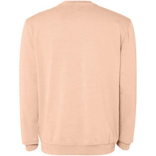 Load image into Gallery viewer, Jaya 250 g/m² unisex crewneck sweater — Light orange (back)