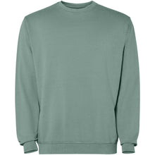 Load image into Gallery viewer, Jaya 250 g/m² unisex crewneck sweater — Dark green