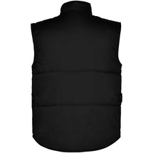 Load image into Gallery viewer, Almanzor multi-purpose workwear bodywarmer with high neck — Black (back)