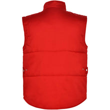 Load image into Gallery viewer, Almanzor multi-purpose workwear bodywarmer with high neck — Red (back)