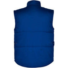 Load image into Gallery viewer, Almanzor multi-purpose workwear bodywarmer with high neck — Royal blue (back)