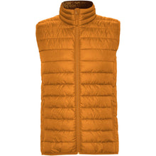 Load image into Gallery viewer, Oslo men's insulated bodywarmer — Curry Yellow