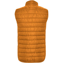 Load image into Gallery viewer, Oslo men's insulated bodywarmer — Curry Yellow (back)