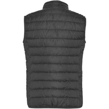 Load image into Gallery viewer, Oslo women's insulated bodywarmer — Ebony (back)