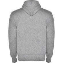Load image into Gallery viewer, Montblanc 280 g/m² unisex full zip hoodie — Heather grey (back)