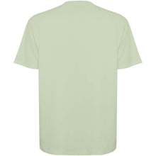 Load image into Gallery viewer, Bull 210 g/m² short sleeve unisex oversized t-shirt — Mist Green (back)