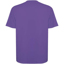 Load image into Gallery viewer, Bull 210 g/m² short sleeve unisex oversized t-shirt — Irish purple (back)