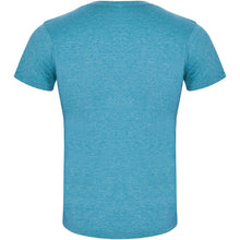 Load image into Gallery viewer, Fox 150 g/m² short sleeve men's t-shirt — Heather turquoise (back)