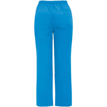 Load image into Gallery viewer, Vademecum 160 g/m2  unisex service trousers — Danube Blue (back)