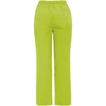 Load image into Gallery viewer, Vademecum 160 g/m2  unisex service trousers — Pistachio (back)
